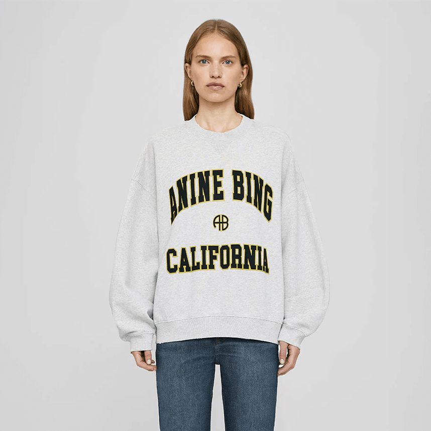 anine bing sweatshirt