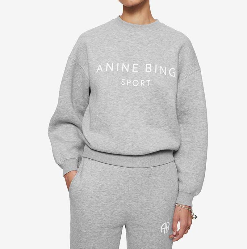 anine bing sweatshirt