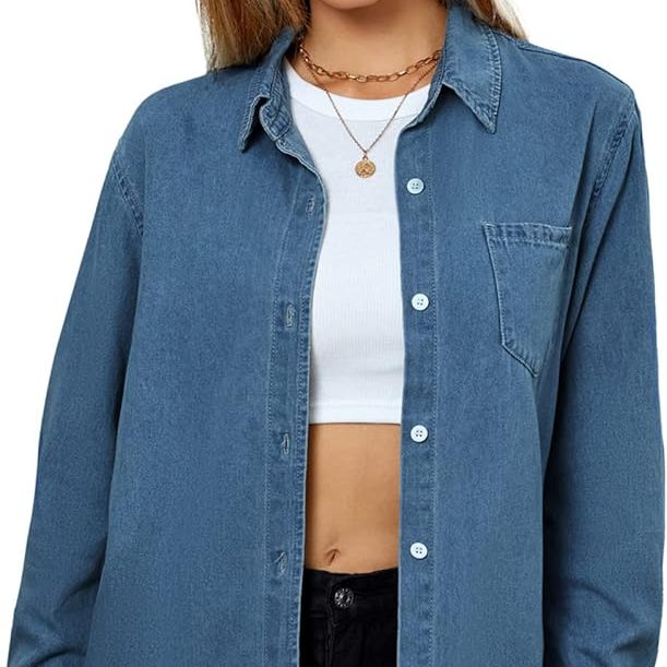 	
women's chambray shirt